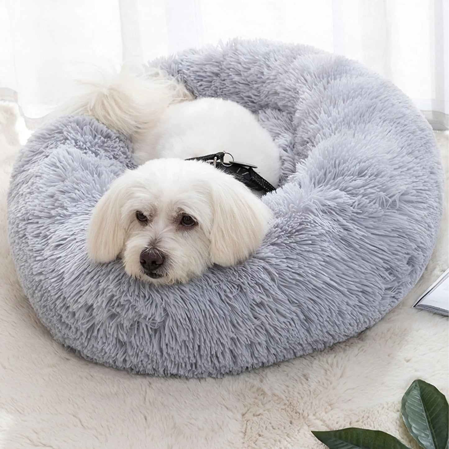 Fluffy Donut Cat & Small Dog Bed