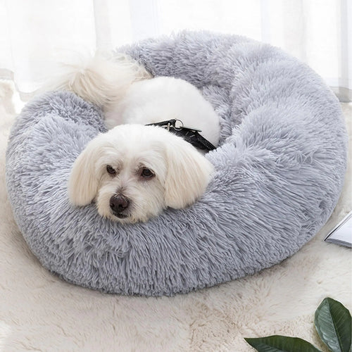 Fluffy Donut Cat & Small Dog Bed