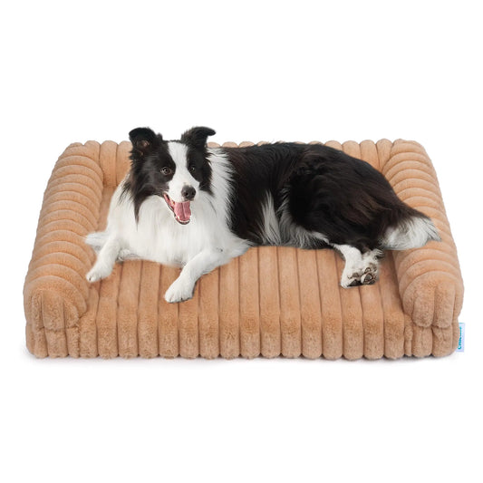Chicute Thick Orthopedic Dog Bed